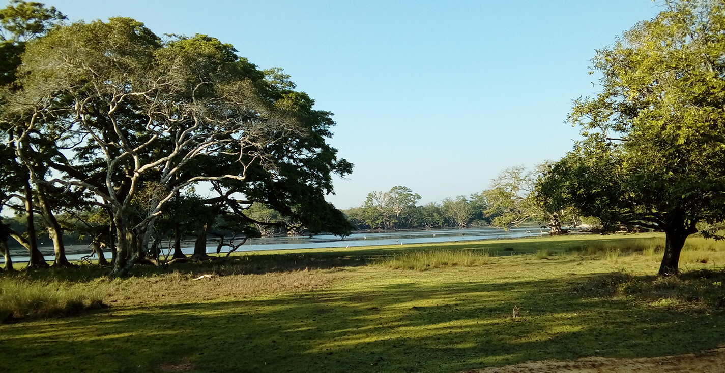 Wilpattu National Park