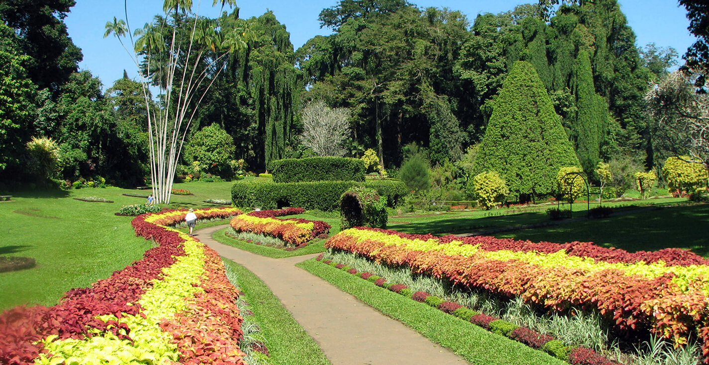 Kandy Royal Botanical Gardens