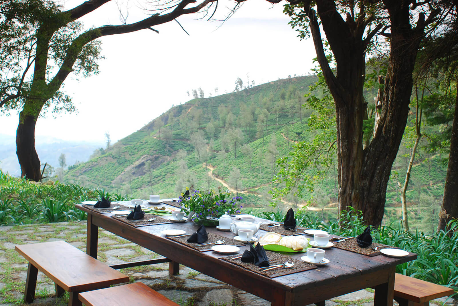 Outdoor Dinning in Sri Lanka