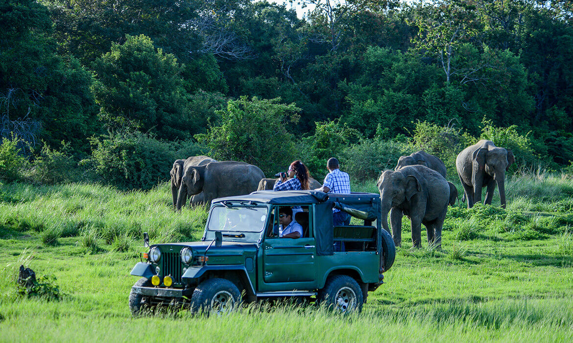 jeep safari sri lanka