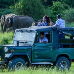 Jeep Safari Sri Lanka