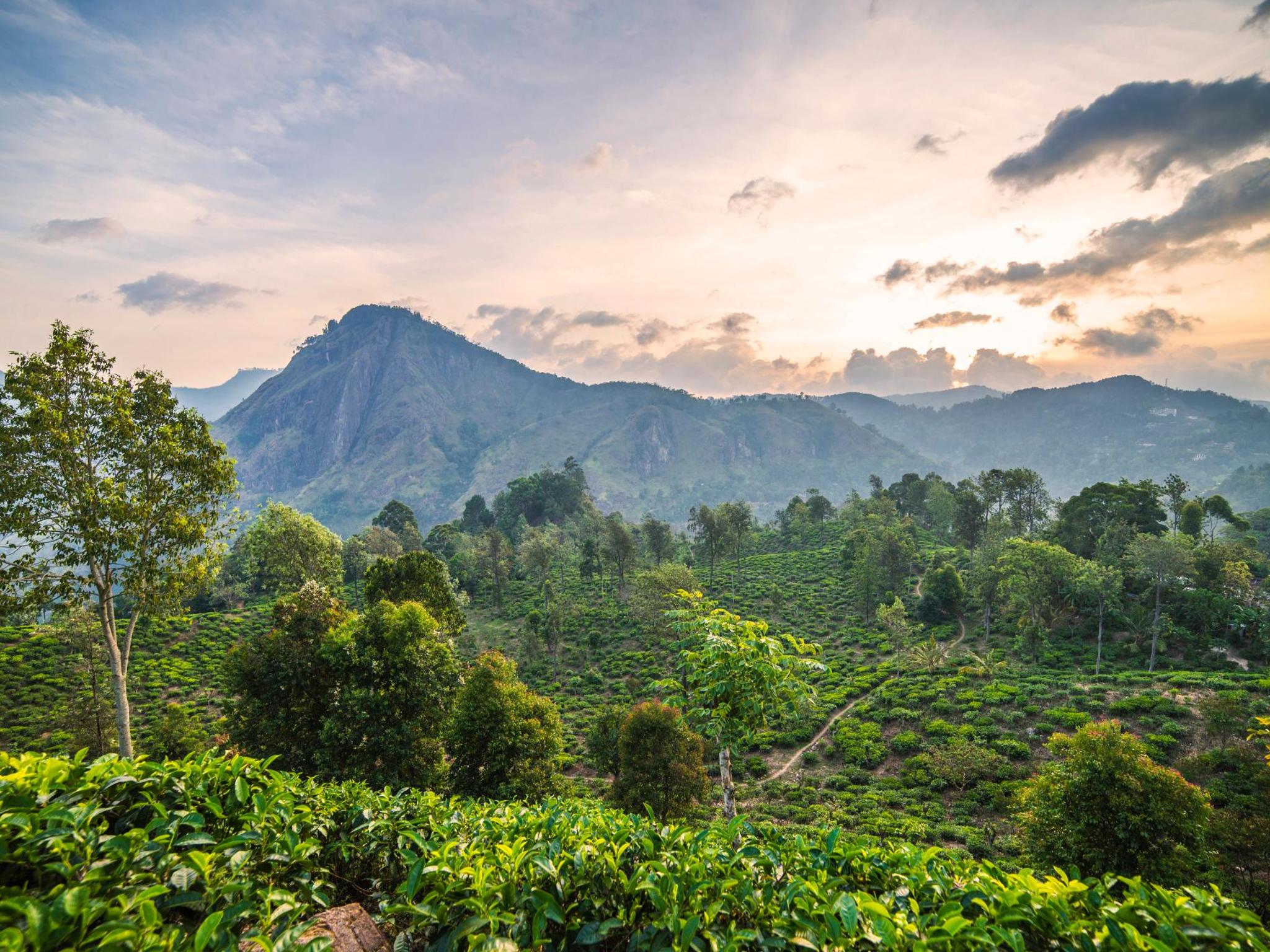 Hiking Sri Lanka's Hill Country