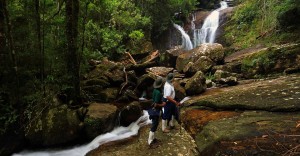 Sinharaja Rainforest in Sri Lanka