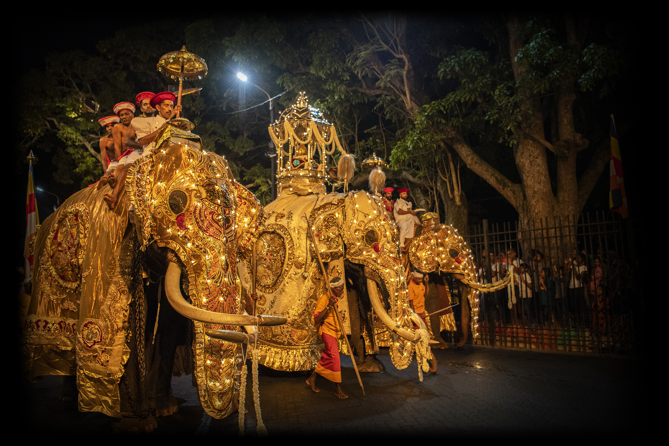 A Unique Experience of the Kandy Perahera