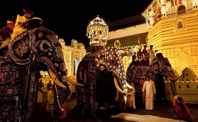 A unique experience of the Kandy Perahera