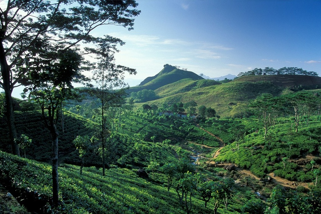 Travel Places Sri Lanka