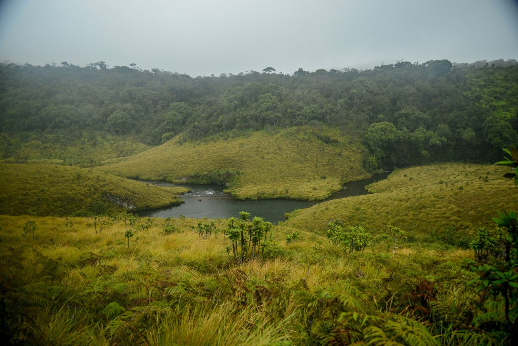 Horton Plains in Sri Lanka