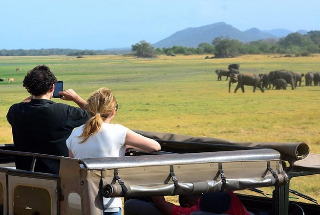 Jeep Safari in Sri Lanka