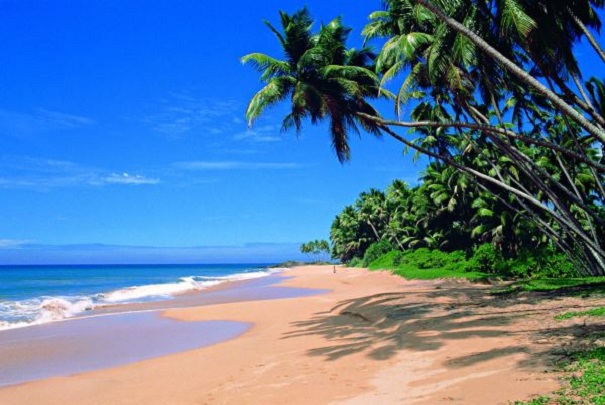 Holidays in Sri Lanka