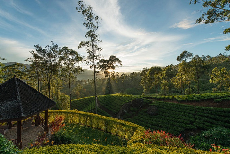 Ceylon Tea Trails - Hatton