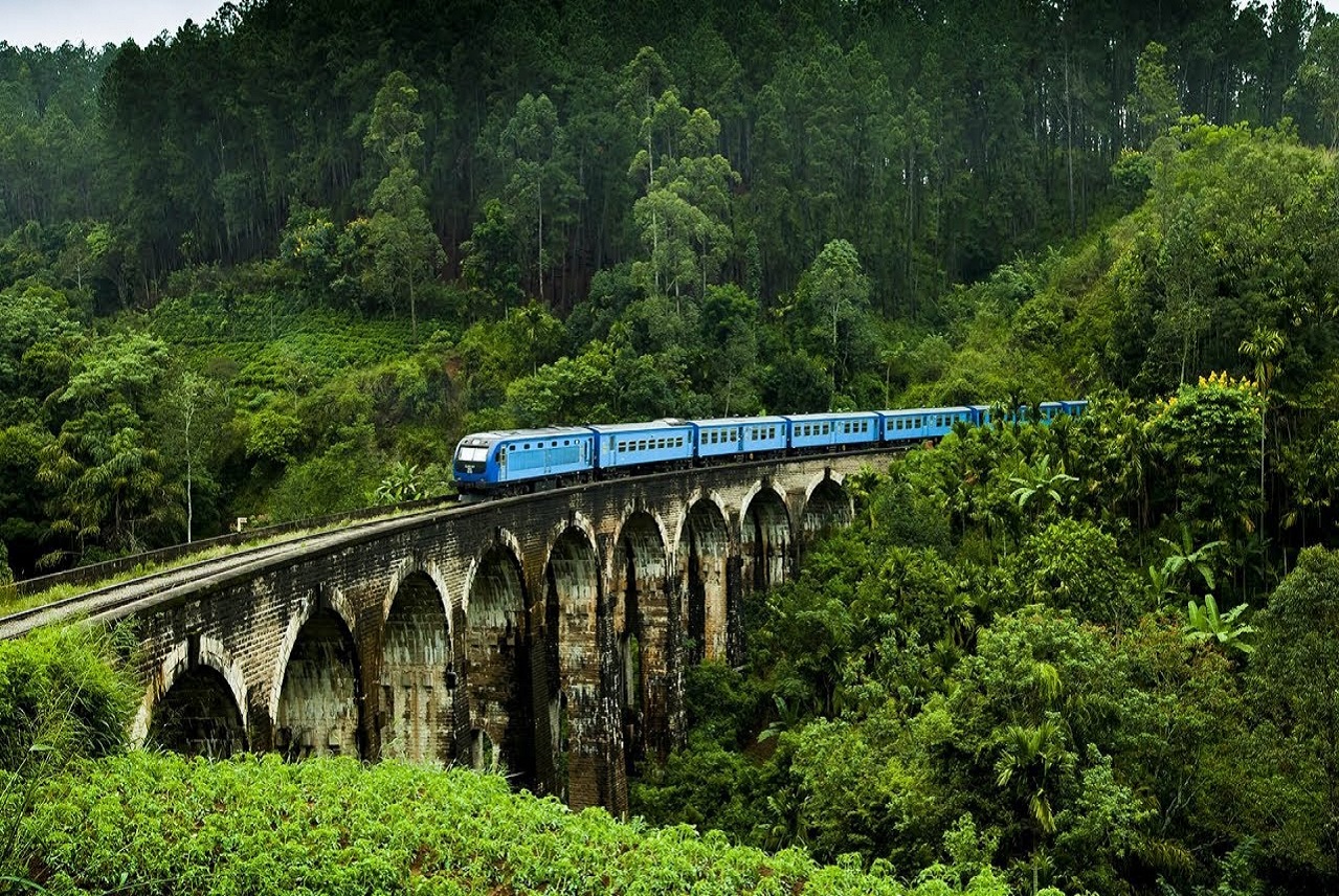 Blog - Sri Lanka Tours, Holiday Tips & Ideas  Blue Lanka 