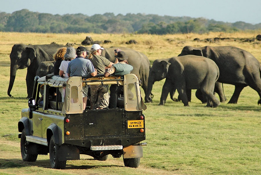 Safari in Sri Lanka