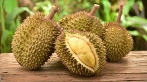 Durian Fruit in Sri Lanka