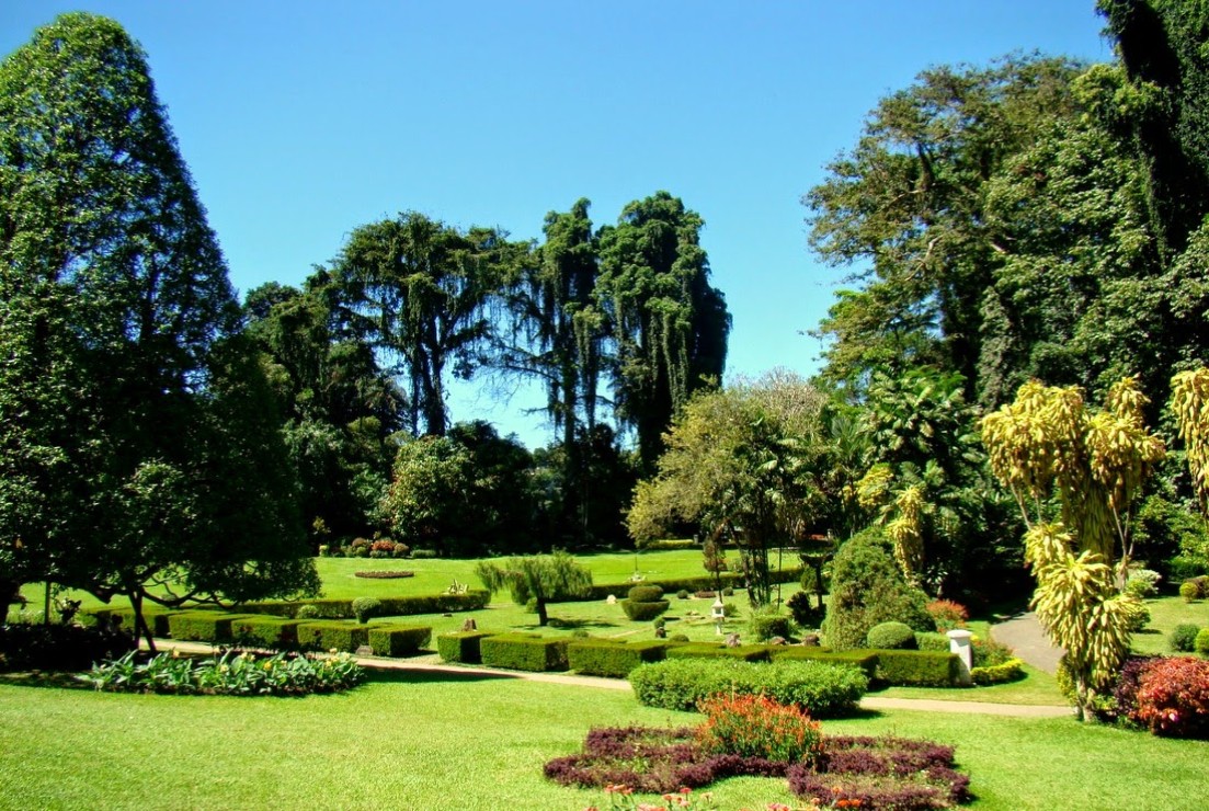 Royal Botanical Gardens in Sri Lanka
