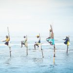 Stilt Fishing – Weligama