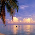 beach-pics_293035664