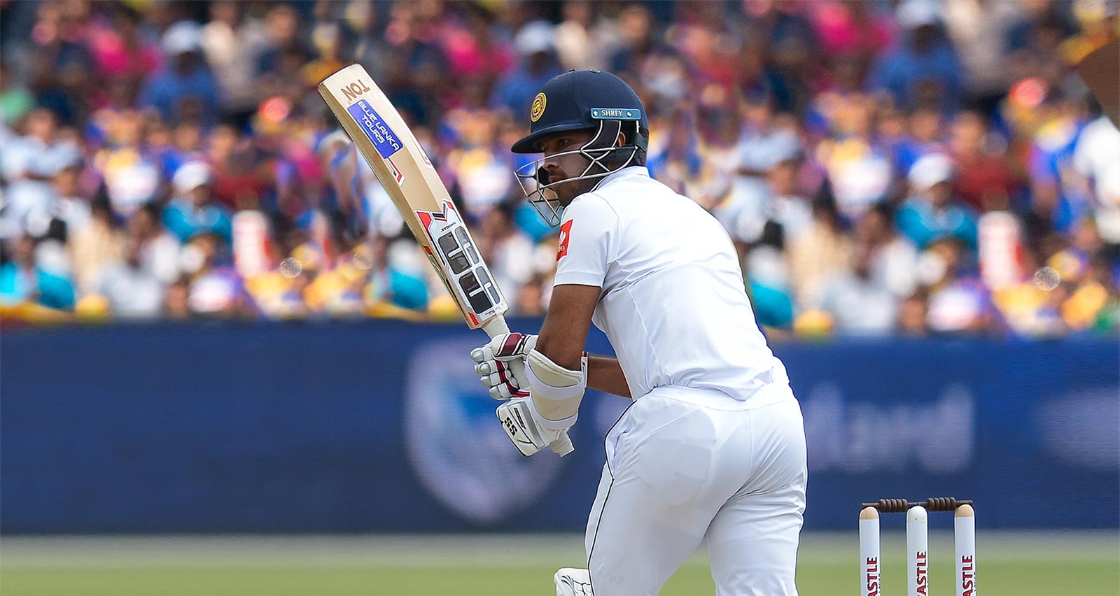 Sri Lanka Cricket Tour Blue Lanka Tours