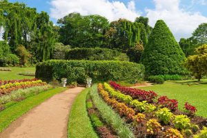 Beautiful Tropical Royal Botanical Gardens