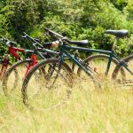 Bikes Available at Wild Grass Nature Resort Bikes Available at Wild Grass Nature Resort