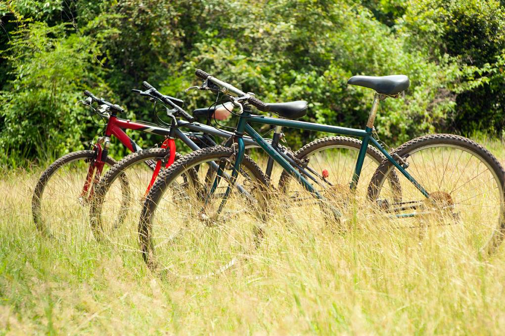 Bikes Available at Wild Grass Nature Resort