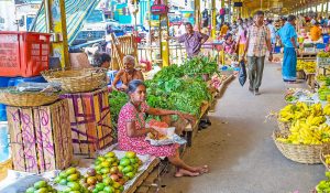 The Best Markets to Visit in Sri Lanka