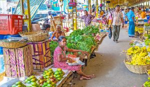 Best Markets to Visit in Sri Lanka
