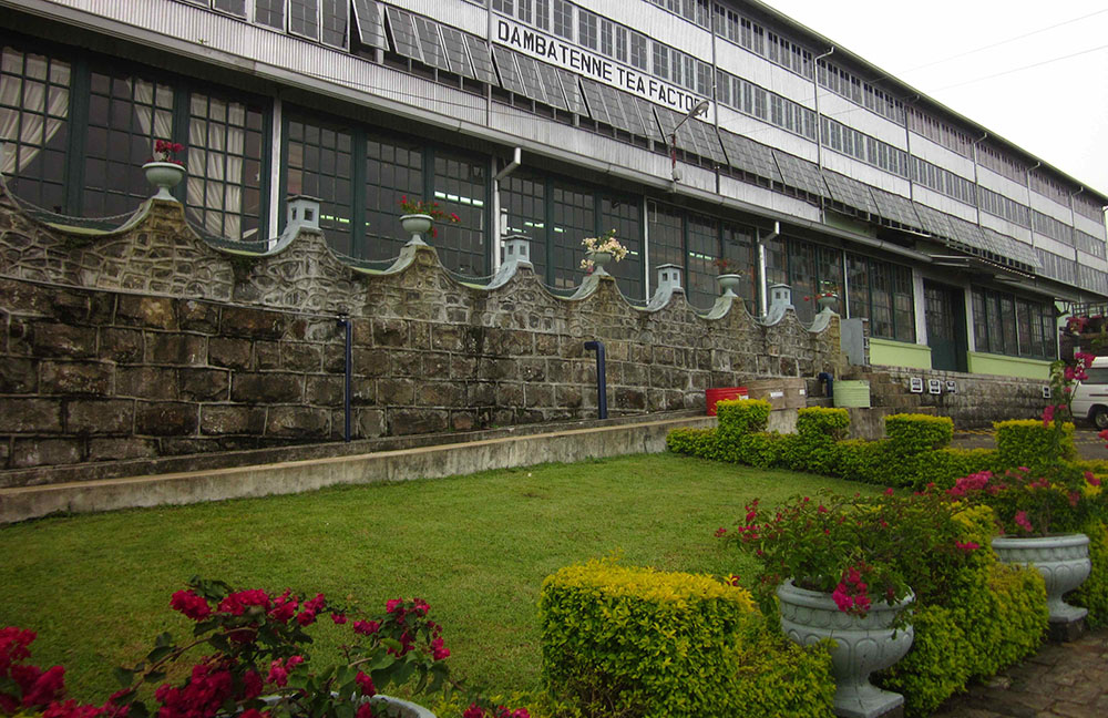 Dambatenne Tea Factory in Sri Lanka