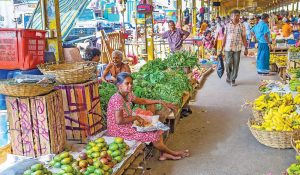 The Markets of Colombo