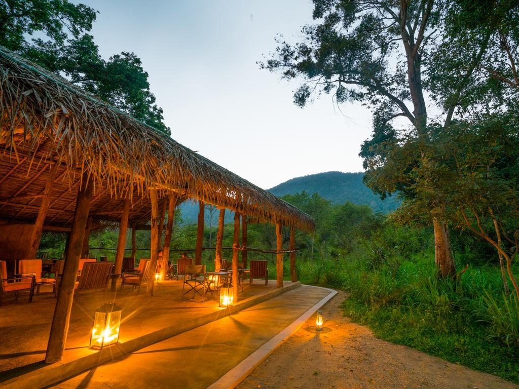 Stunning View at Tree Tops Jungle Lodge