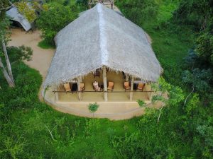 Aerial View at Tree Tops Jungle Lodge