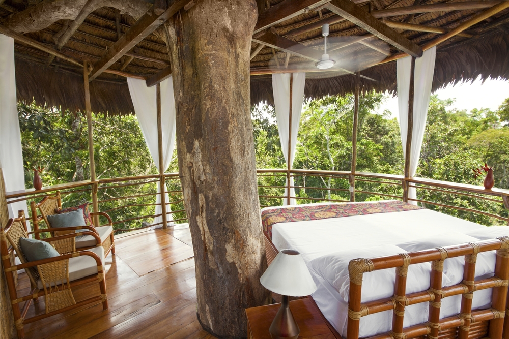 Tree Tops Jungle Lodge - Buttala