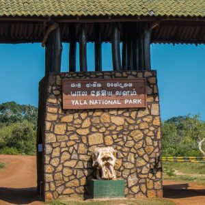 Yala National Park