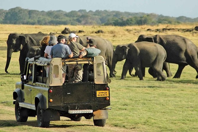 Wasgamuwa National Park | Blue Lanka