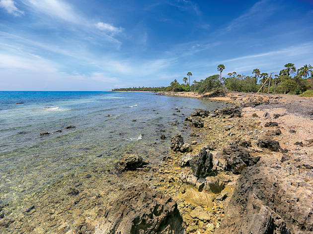 Delft Island Sri Lanka