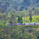 Denuwara Menike Intercity Express Train Denuwara Menike Intercity Express Train