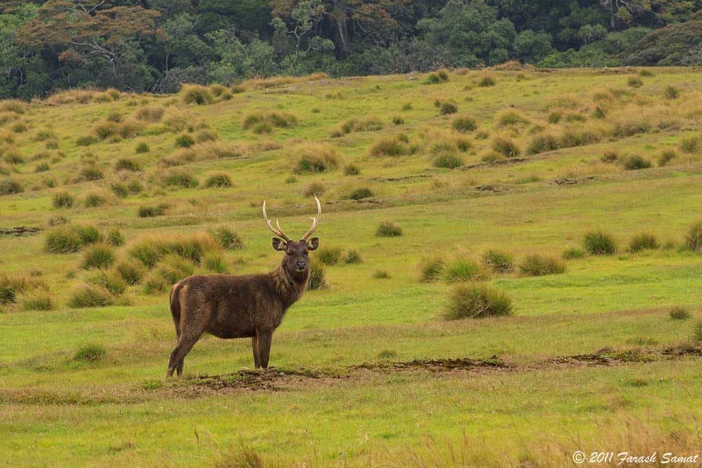 Horton Plains National Park