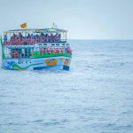Mirissa Dolphin & Whale Watching Activities