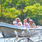 Boat ride on Negombo lagoon