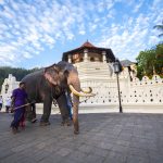 Kandy Temple Tooth