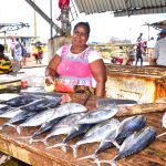 Negombo Fish Market Negombo Fish Market