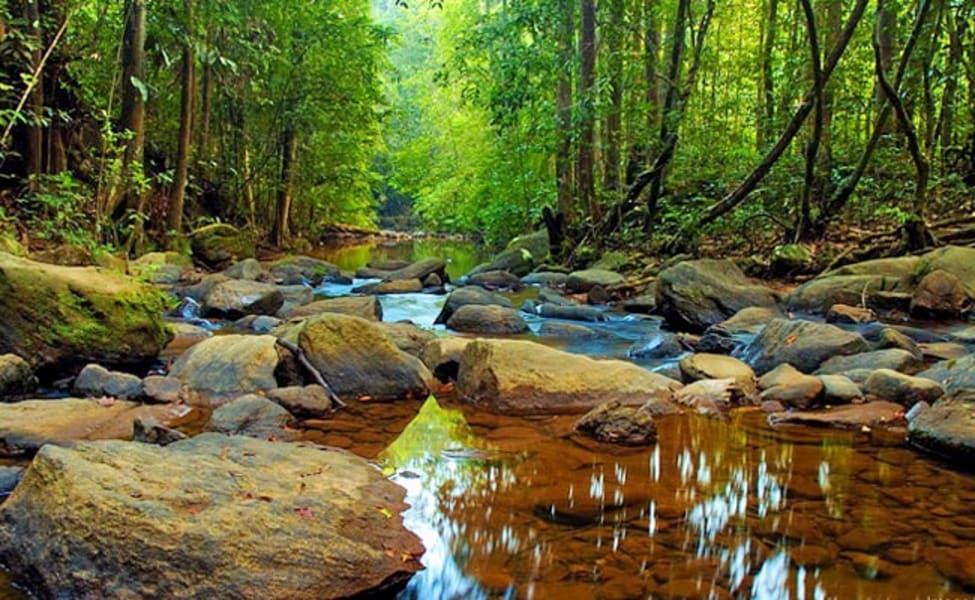 Sinharaja Rainforest in Sri Lanka