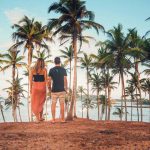 Coconut Tree Hill Coconut Tree Hill