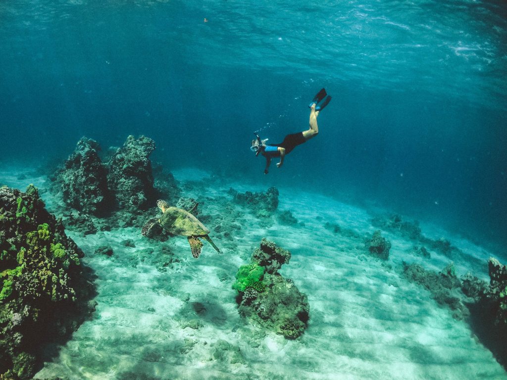 Snorkeling in Sri Lanka