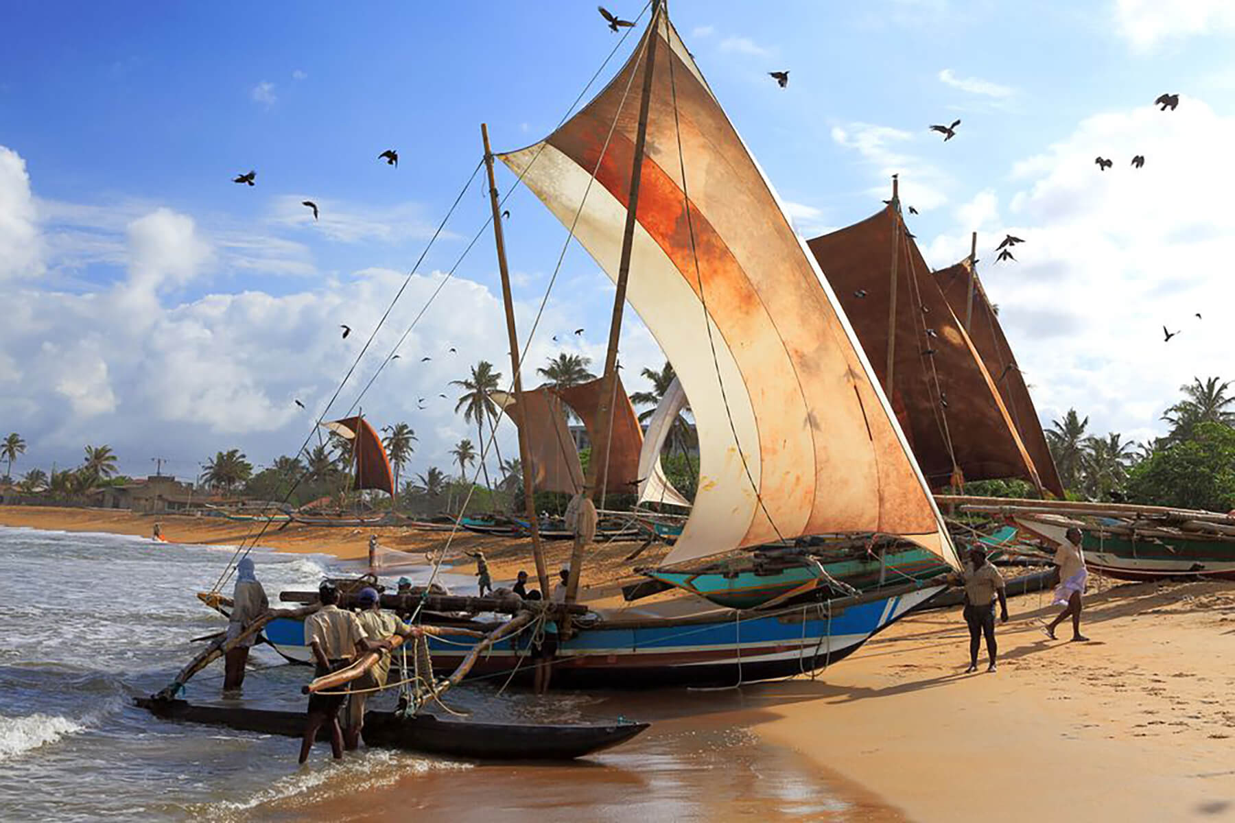 The ultimate things to do in Negombo with Blue Lanka Tours