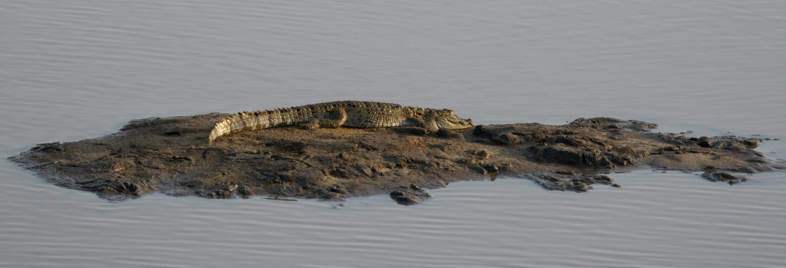 Yala National Park in Sri Lanka