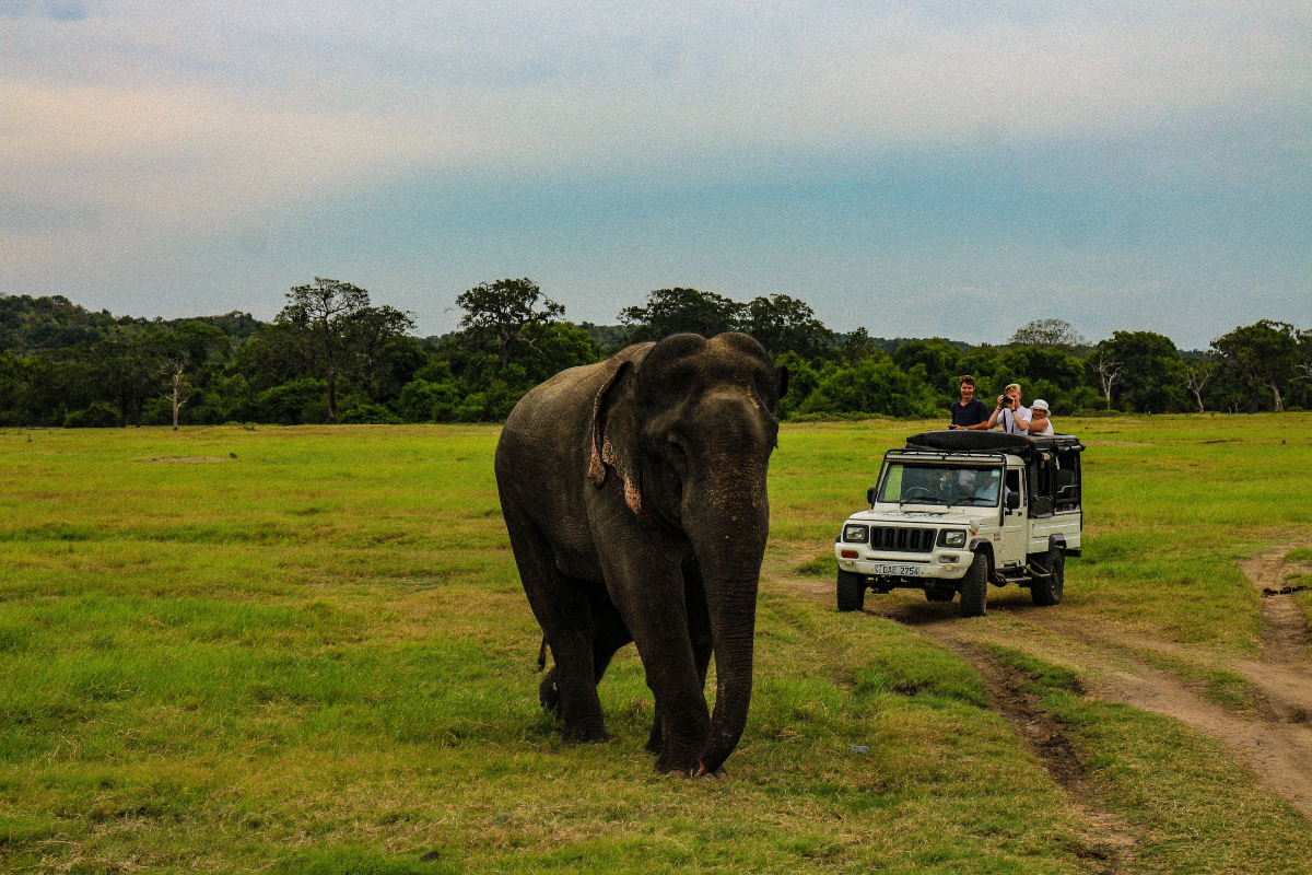 Best Places to Visit Sri Lanka