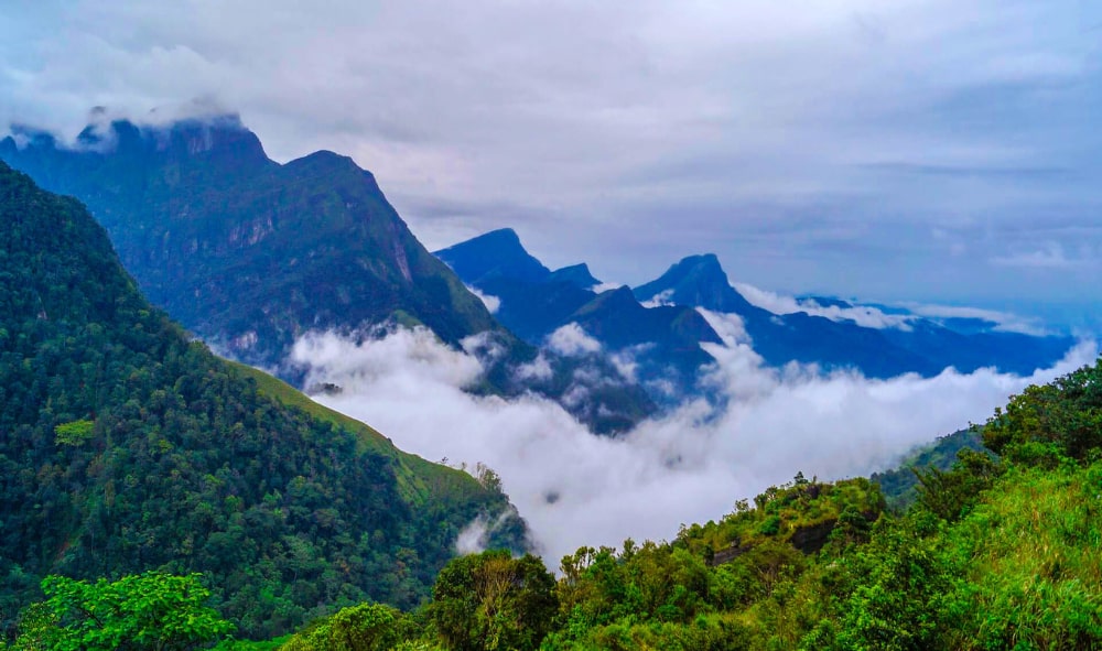 Knuckles Mountain Range