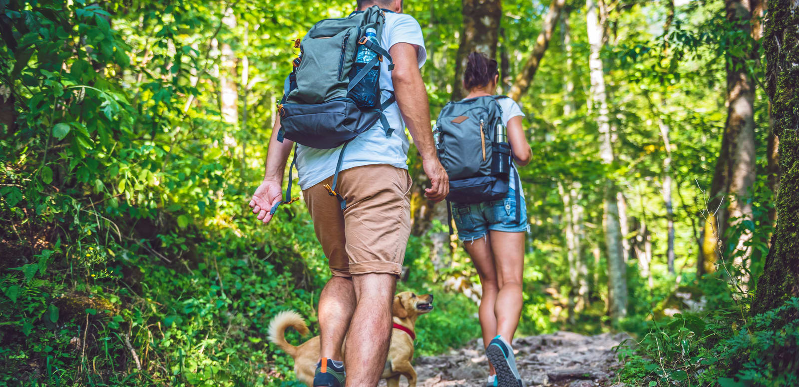 Trekking