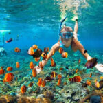 Hikkaduwa Coral Reefs