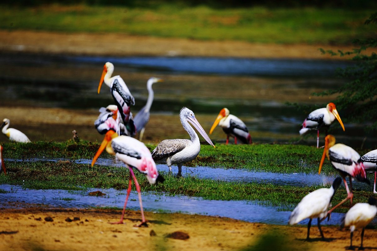 Kumana National Park